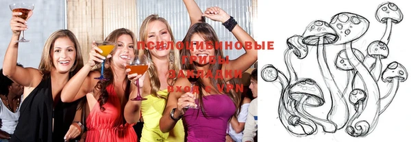 гидропоника Алексеевка