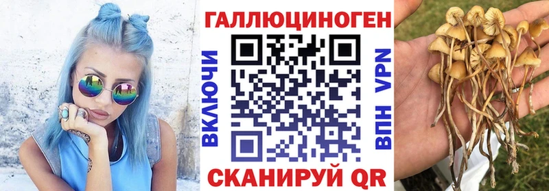 Псилоцибиновые грибы Cubensis  Макушино 
